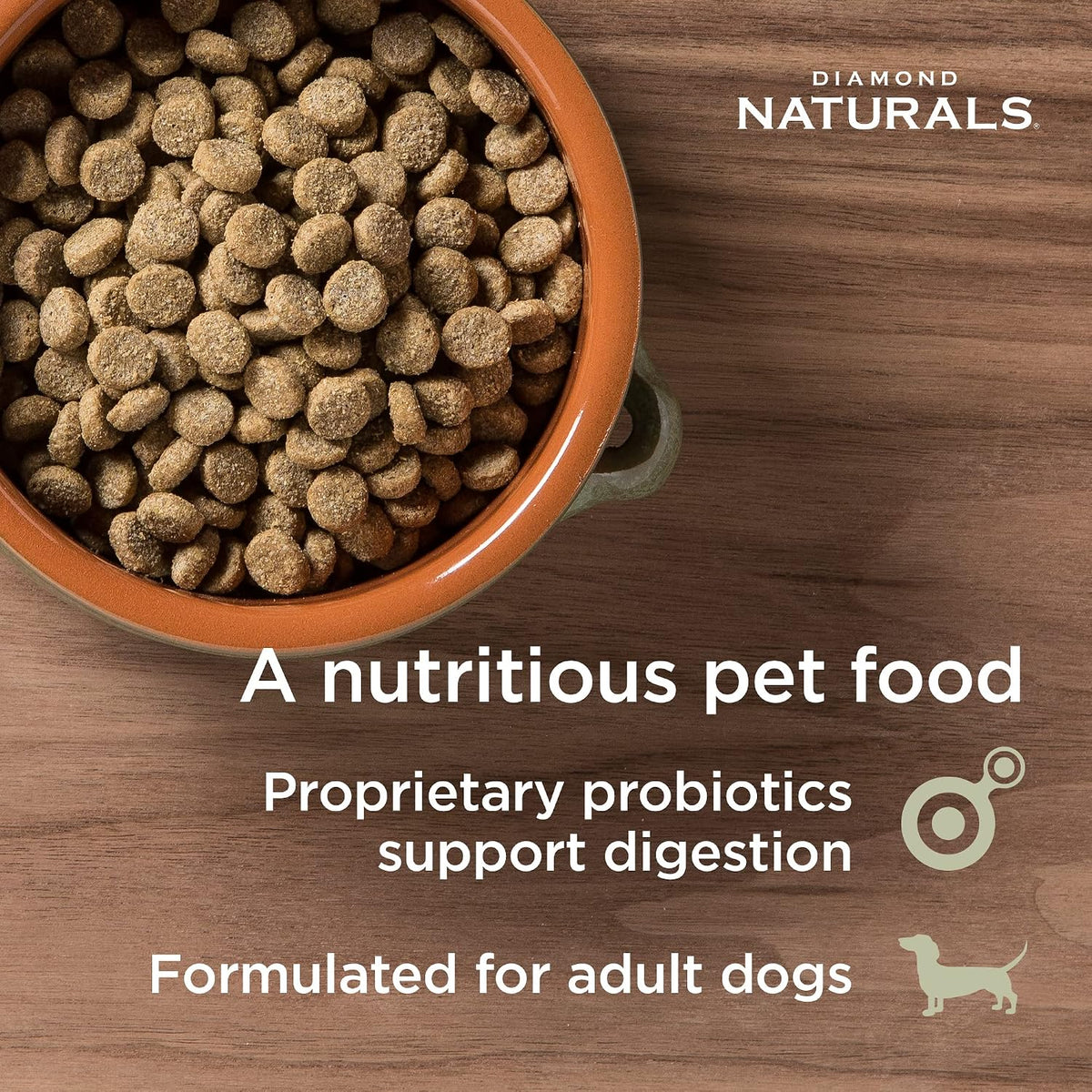 Puppy, Adult & Senior Dry Dog Food, Chicken & Rice, 40lb