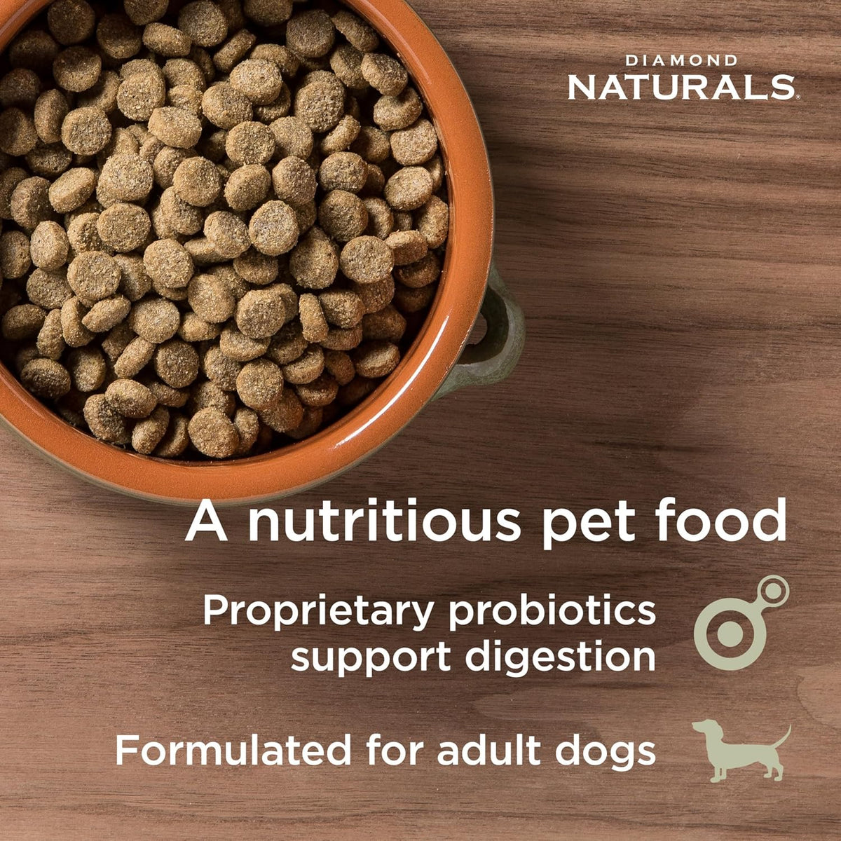 Puppy, Adult & Senior Dry Dog Food, Chicken & Rice, 40lb