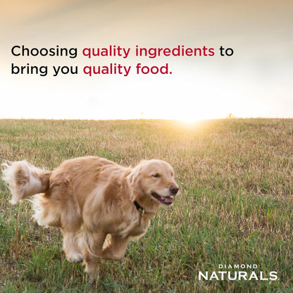 Puppy, Adult & Senior Dry Dog Food, Chicken & Rice, 40lb