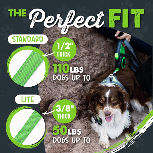Retractable Dog Leash 2.0, 16 Ft, for Medium Dogs, Heavy Duty