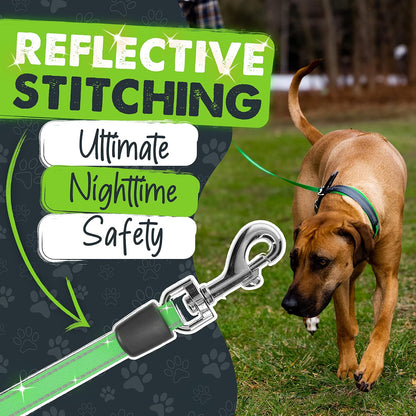 Retractable Dog Leash 2.0, 16 Ft, for Medium Dogs, Heavy Duty