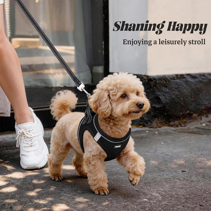 No Pull Dog Puppy Harness and Leash Set Reflective Mesh Vest X-Small