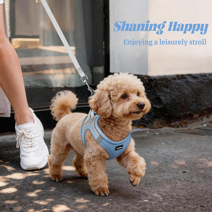 No Pull Dog Puppy Harness and Leash Set Reflective Mesh Vest X-Small
