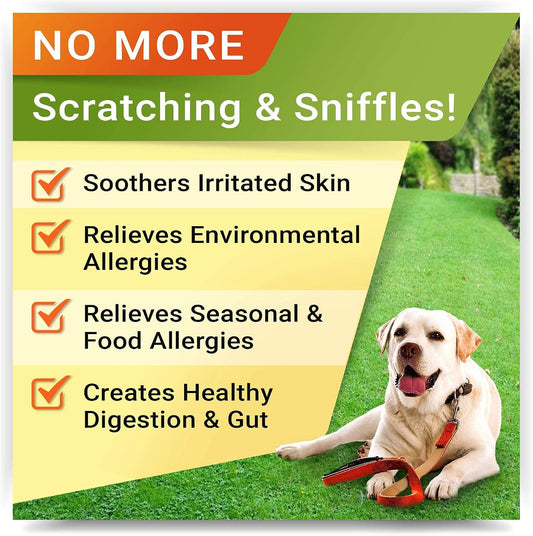 Allergy Relief + Hemp Calming Dogs Bundle - Itchy Skin Treatment + Anxiety Relief - Omega 3 & Pumpkin + w/Hemp Oil - Dogs Itching & Licking + Storm, Separation, Barking - 480 Chews - Made in USA