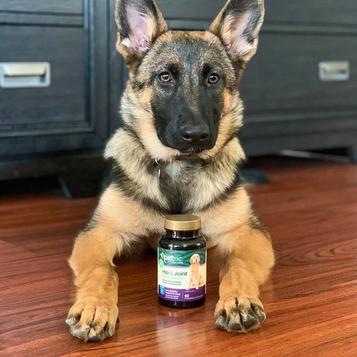 PetNC Natural Care Hip and Joint Soft Chews for Dogs, - 27591