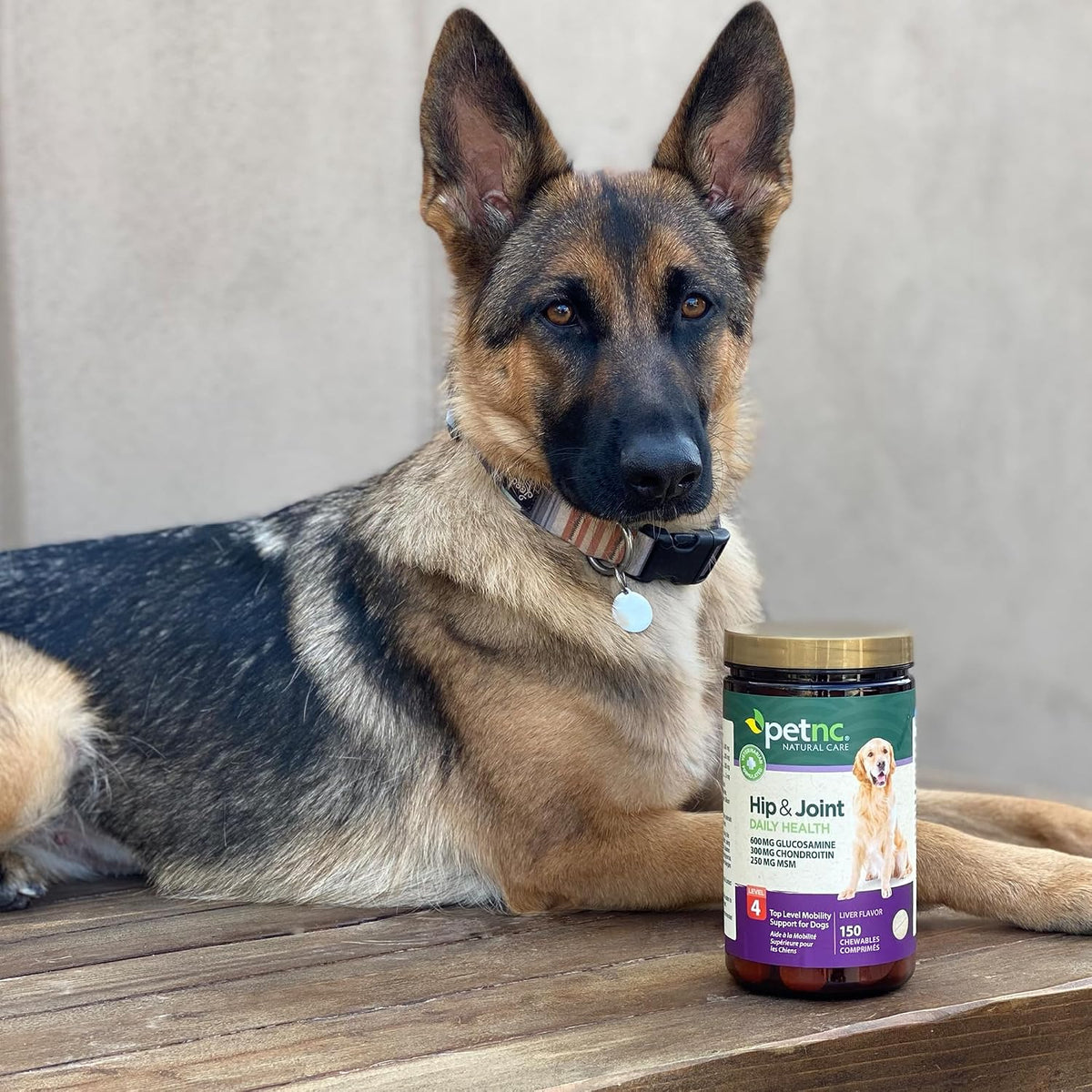 PetNC Natural Care Hip and Joint Soft Chews for Dogs, - 27591