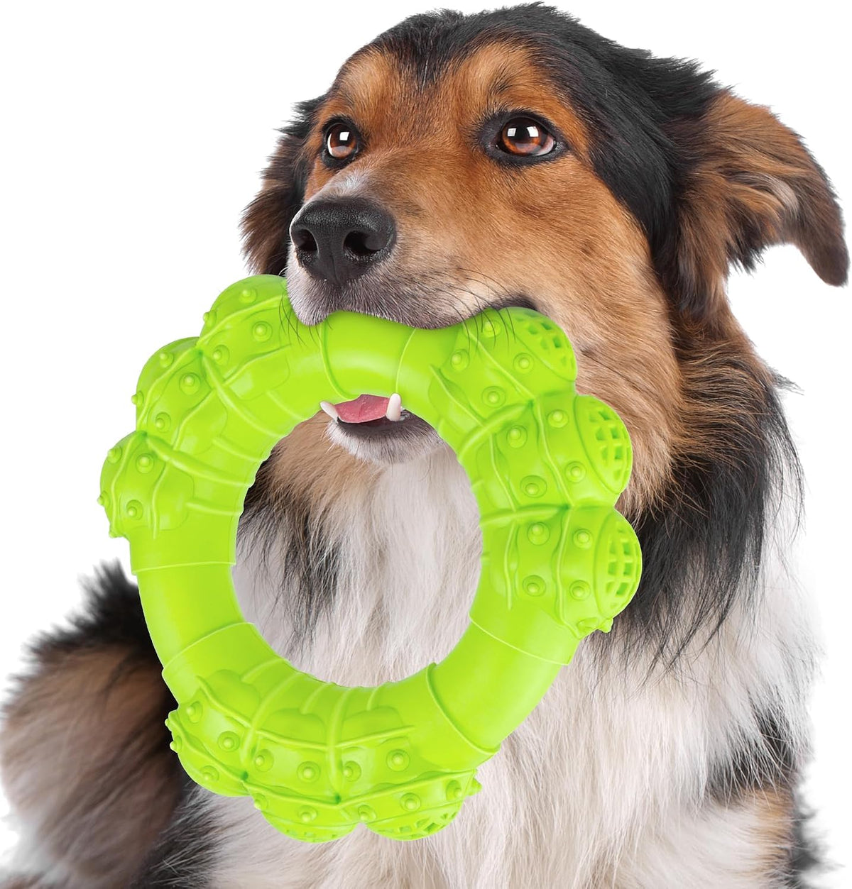 Indestructible Dog Chews - Super Duty Chew Toys for Aggressive Dogs, Puppy Teething Relief & Interactive Play