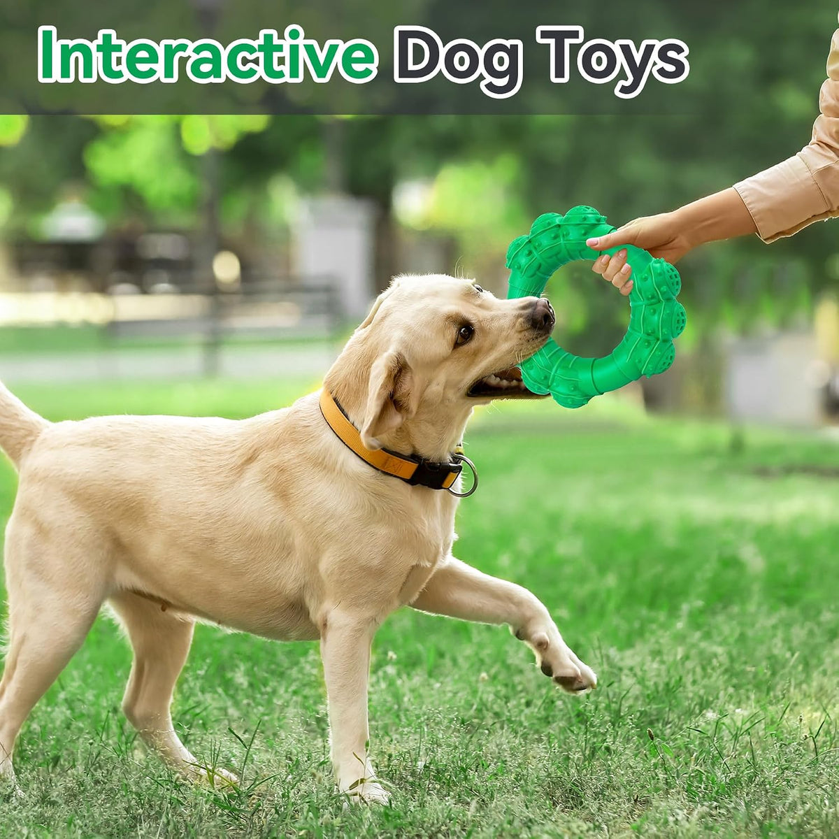 Indestructible Dog Chews - Super Duty Chew Toys for Aggressive Dogs, Puppy Teething Relief & Interactive Play