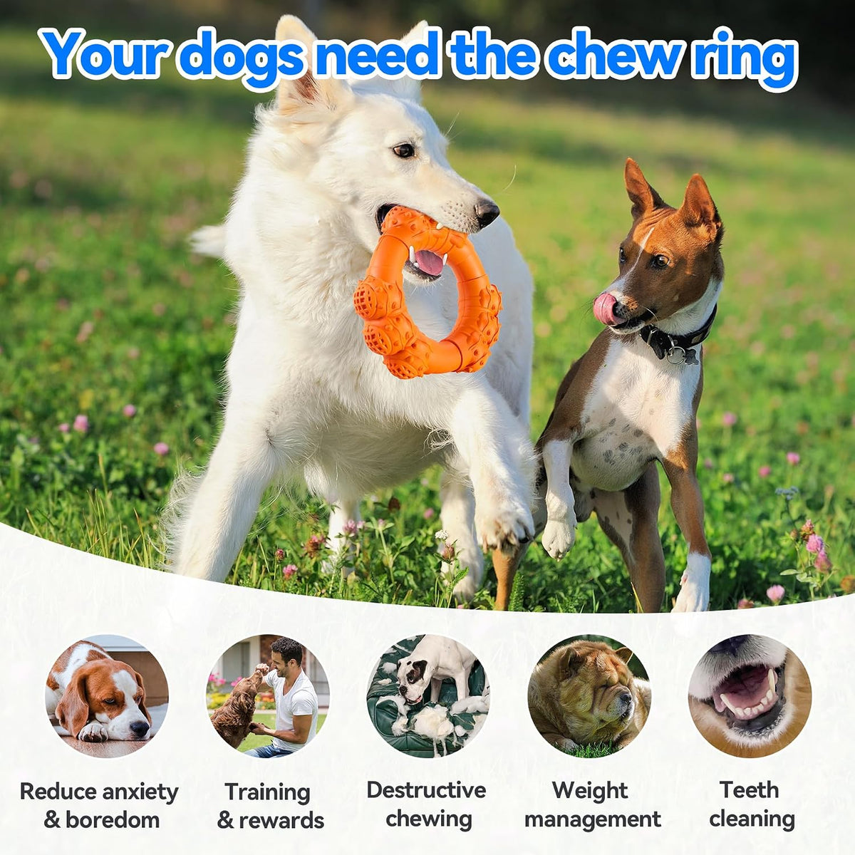 Indestructible Dog Chews - Super Duty Chew Toys for Aggressive Dogs, Puppy Teething Relief & Interactive Play
