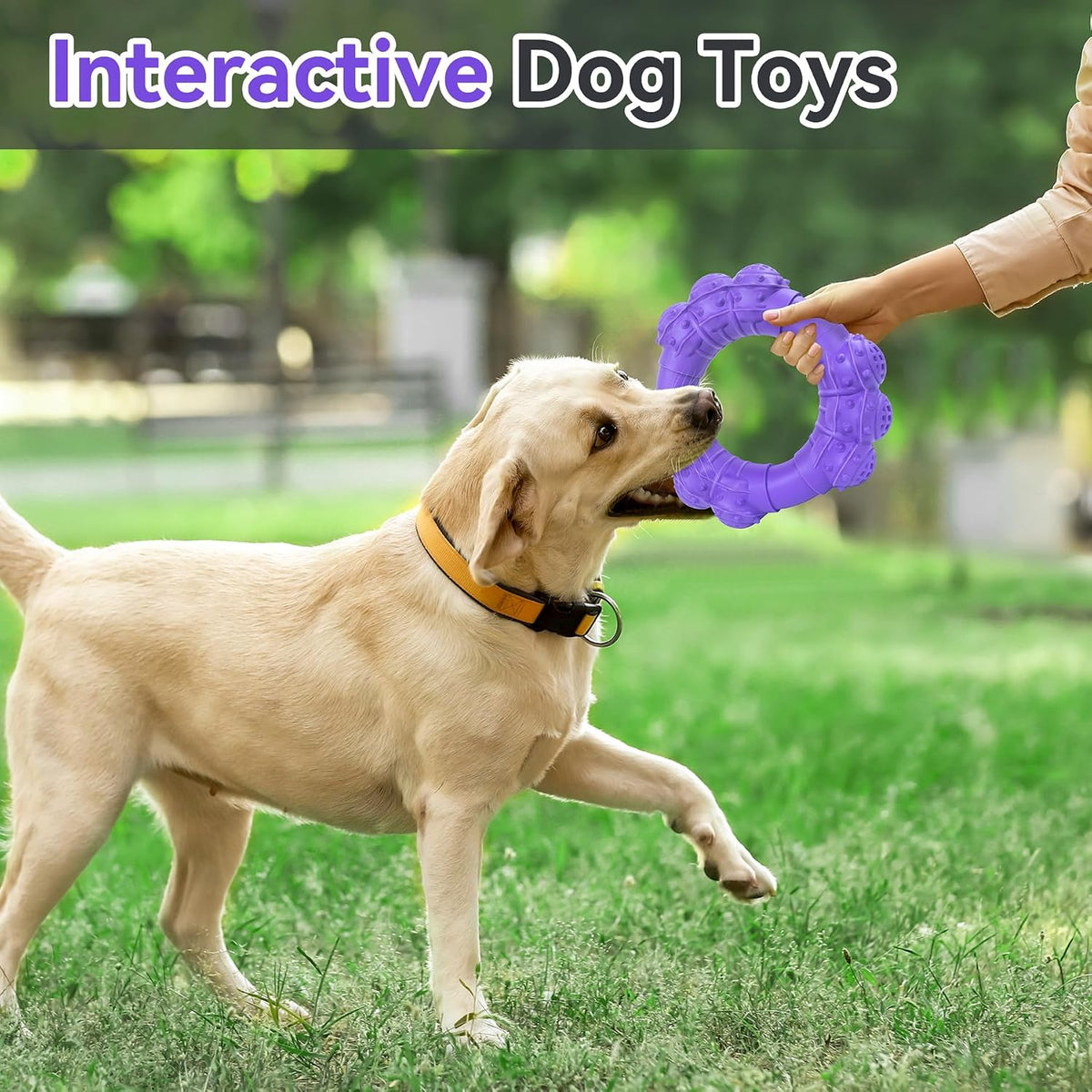 Indestructible Dog Chews - Super Duty Chew Toys for Aggressive Dogs, Puppy Teething Relief & Interactive Play