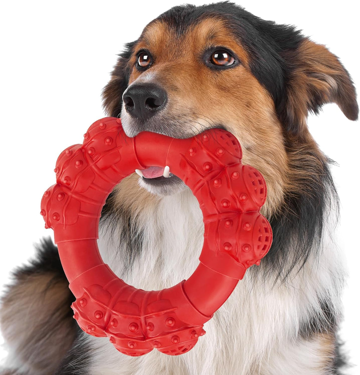 Indestructible Dog Chews - Super Duty Chew Toys for Aggressive Dogs, Puppy Teething Relief & Interactive Play