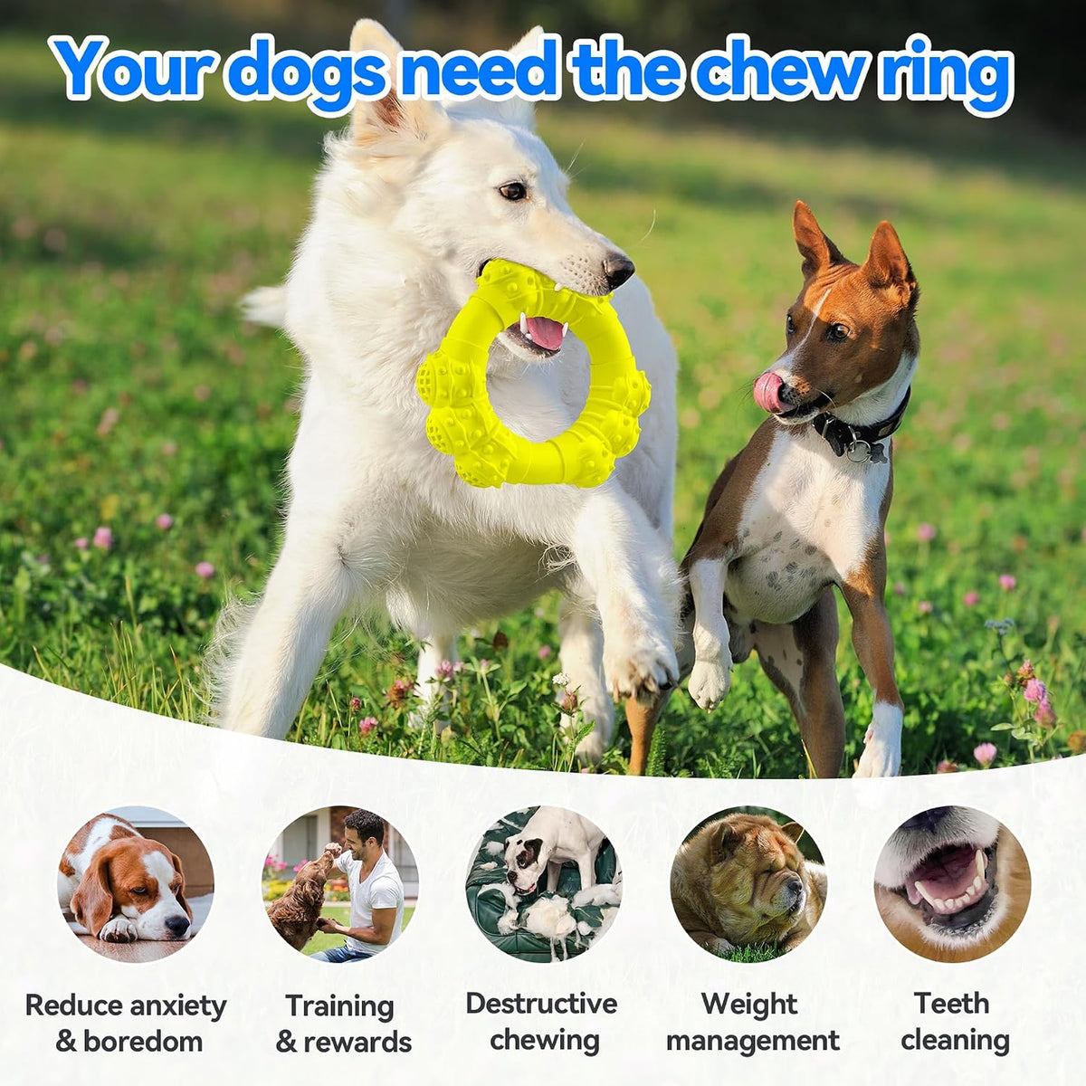 Indestructible Dog Chews - Super Duty Chew Toys for Aggressive Dogs, Puppy Teething Relief & Interactive Play