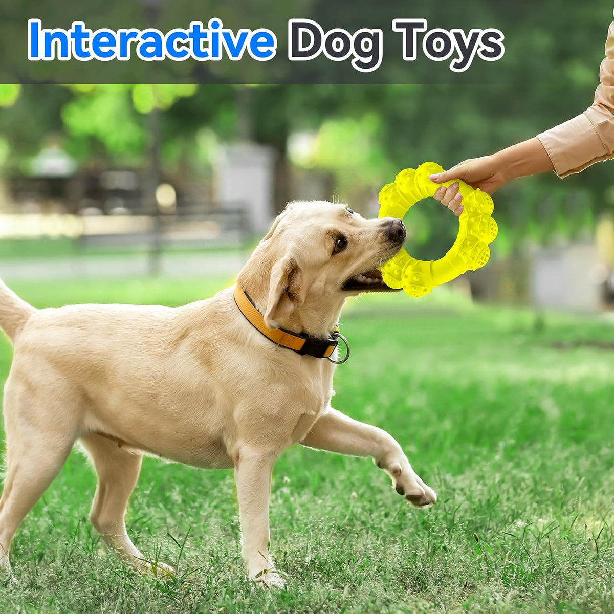 Indestructible Dog Chews - Super Duty Chew Toys for Aggressive Dogs, Puppy Teething Relief & Interactive Play