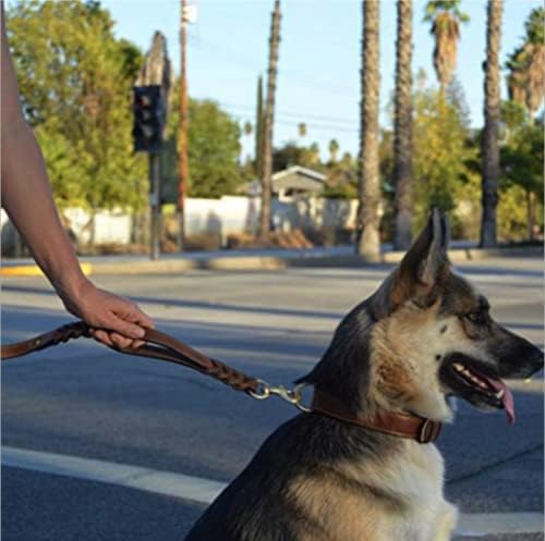 Double Handle Leather Dog Leash 6ft, Heavy Duty Braided Dog Leash with Traffic Handle for Small Medium & Large Dogs (Two Handles 6 Foot x 5/8", Brown)