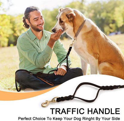 Double Handle Leather Dog Leash 6ft, Heavy Duty Braided Dog Leash with Traffic Handle for Small Medium & Large Dogs (Two Handles 6 Foot x 5/8", Brown)