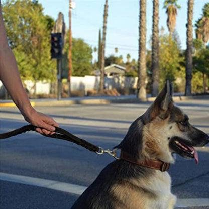 Double Handle Leather Dog Leash 6ft, Heavy Duty Braided Dog Leash with Traffic Handle for Small Medium & Large Dogs (Two Handles 6 Foot x 5/8", Brown)