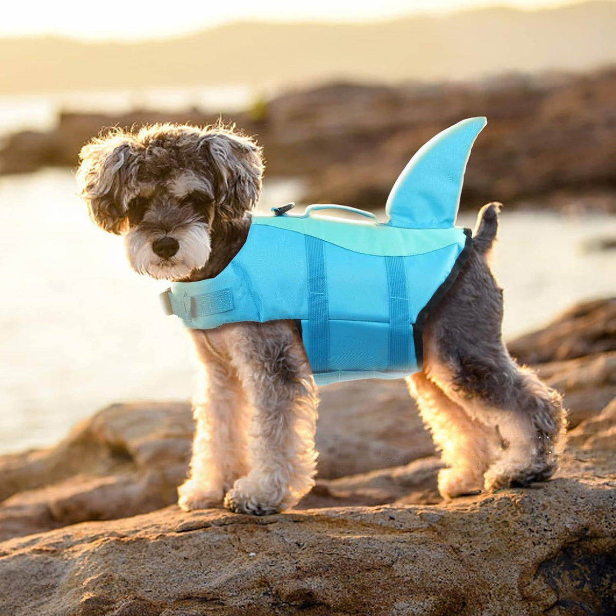 Dog Life Jacket Shark, Dog Life Vests for Small, Middle, Large Dogs with Rescue Handle Pet Flotation Vest Safety Lifesaver for Swimming Pool Beach Boating, (S,Pool Blue)