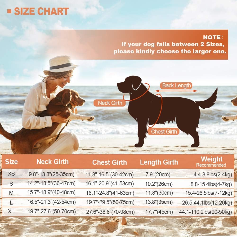 Dog Life Jacket Shark, Dog Life Vests for Small, Middle, Large Dogs with Rescue Handle Pet Flotation Vest Safety Lifesaver for Swimming Pool Beach Boating, (S,Pool Blue)