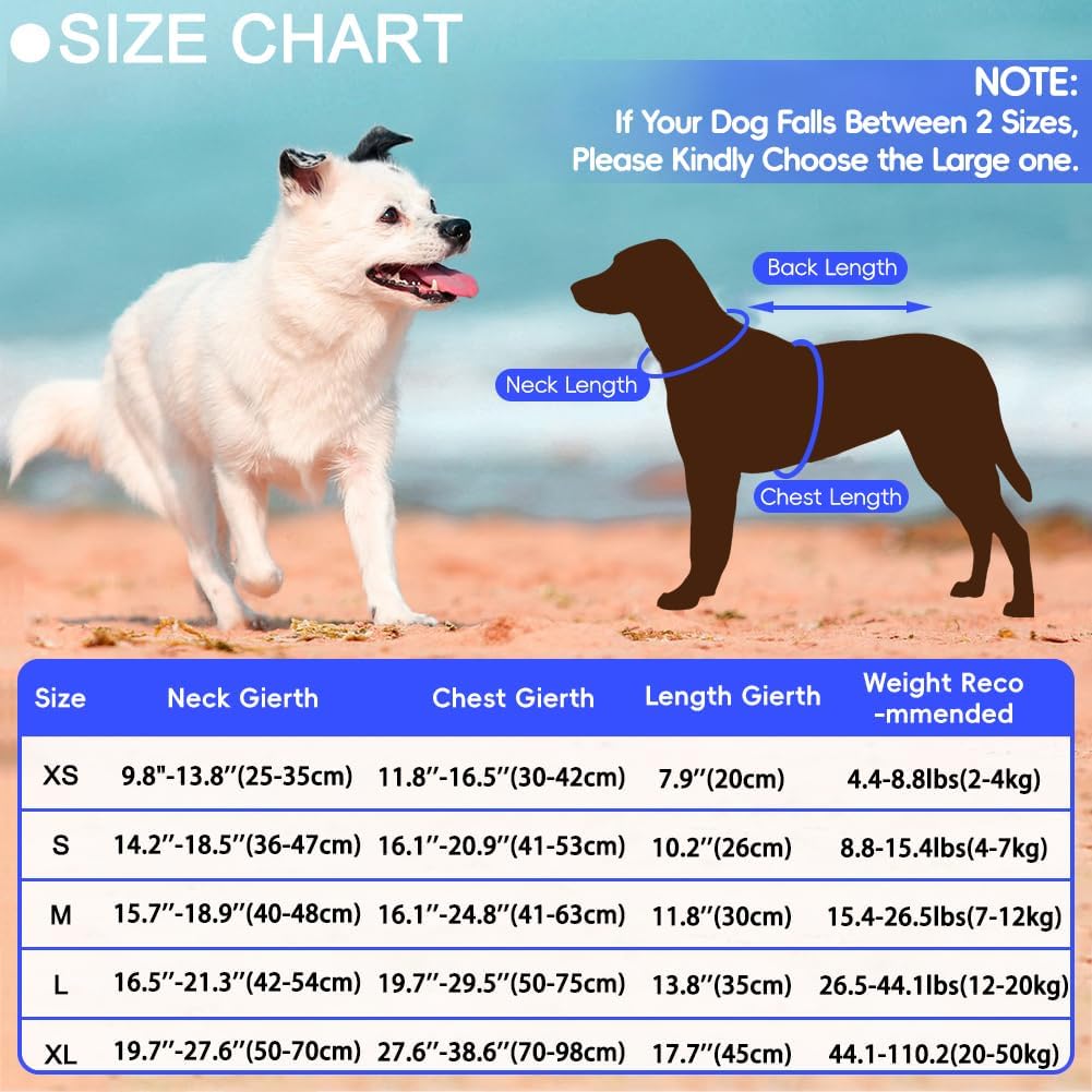 Dog Life Jacket Shark, Dog Life Vests for Small, Middle, Large Dogs with Rescue Handle Pet Flotation Vest Safety Lifesaver for Swimming Pool Beach Boating, (S,Pool Blue)
