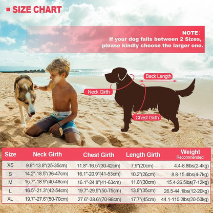 Dog Life Jacket Shark, Dog Life Vests for Small, Middle, Large Dogs with Rescue Handle Pet Flotation Vest Safety Lifesaver for Swimming Pool Beach Boating, (S,Pool Blue)