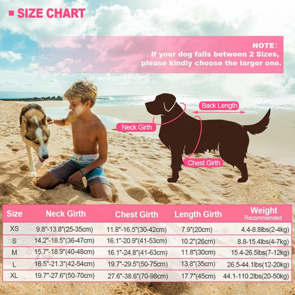 Dog Life Jacket Shark, Dog Life Vests for Small, Middle, Large Dogs with Rescue Handle Pet Flotation Vest Safety Lifesaver for Swimming Pool Beach Boating, (S,Pool Blue)
