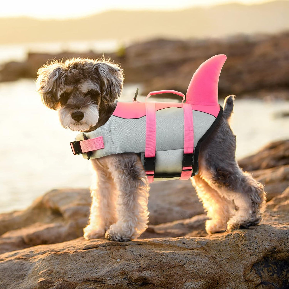 Dog Life Jacket Shark, Dog Life Vests for Small, Middle, Large Dogs with Rescue Handle Pet Flotation Vest Safety Lifesaver for Swimming Pool Beach Boating, (S,Pool Blue)