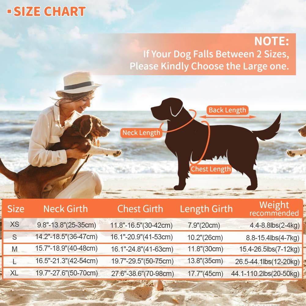 Dog Life Jacket Shark, Dog Life Vests for Small, Middle, Large Dogs with Rescue Handle Pet Flotation Vest Safety Lifesaver for Swimming Pool Beach Boating, (S,Pool Blue)