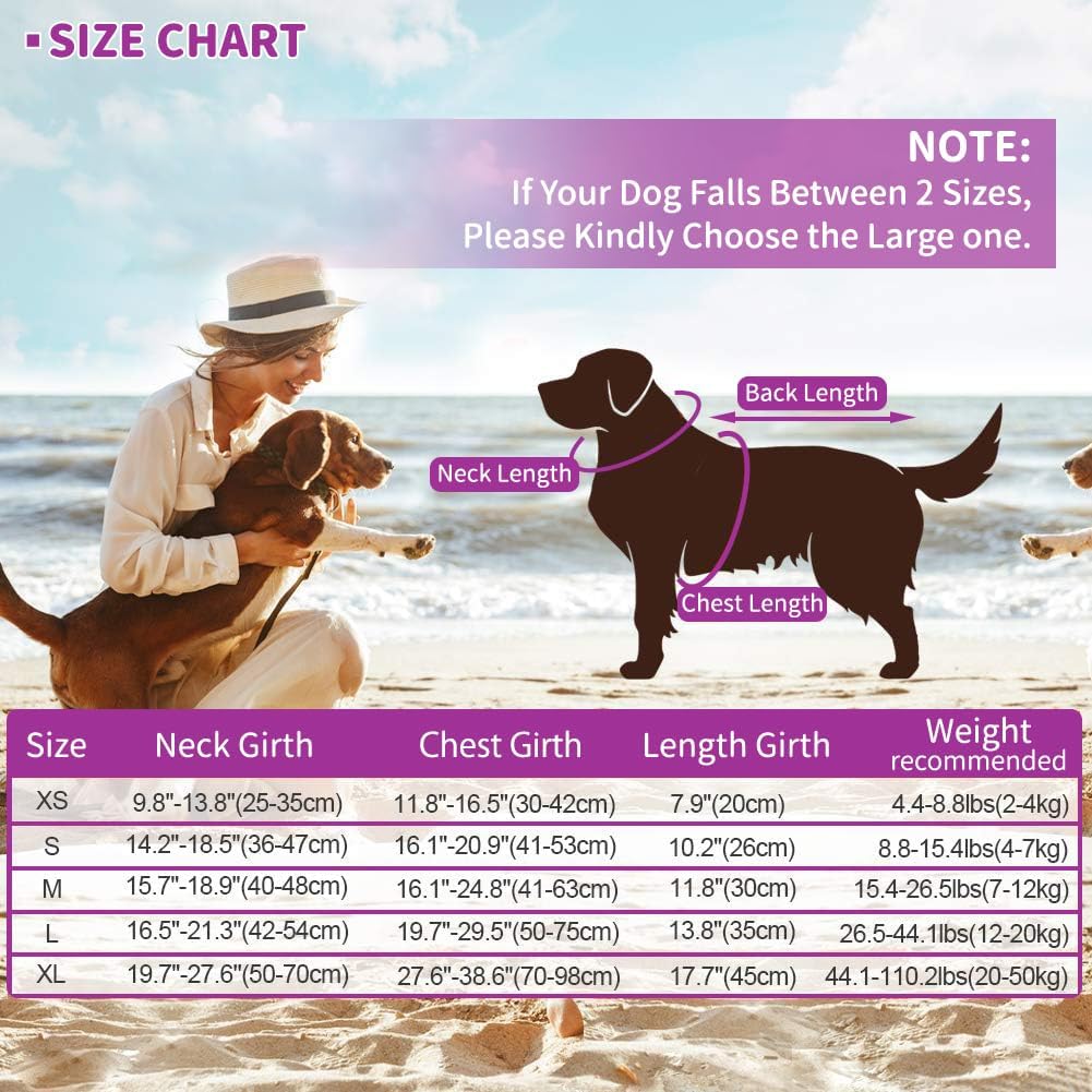 Dog Life Jacket Shark, Dog Life Vests for Small, Middle, Large Dogs with Rescue Handle Pet Flotation Vest Safety Lifesaver for Swimming Pool Beach Boating, (S,Pool Blue)