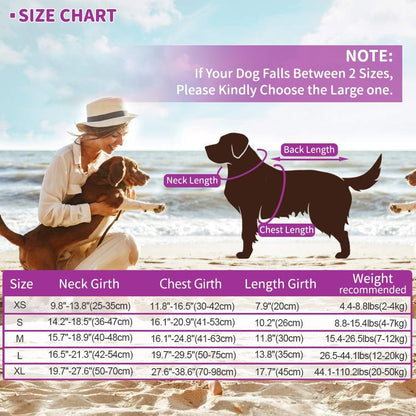 Dog Life Jacket Shark, Dog Life Vests for Small, Middle, Large Dogs with Rescue Handle Pet Flotation Vest Safety Lifesaver for Swimming Pool Beach Boating, (S,Pool Blue)