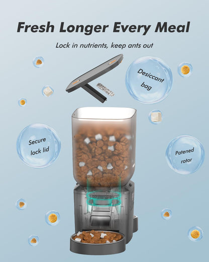 Automatic Dog Feeder - 8L/34 Cups Large Capacity Automatic Cat Food Dispenser with LCD Screen, Large Food Tray, Battery Operated, Timed Cat Feeder, Up to 50 Portions 6 Meals Per Day, Keeps Fresh