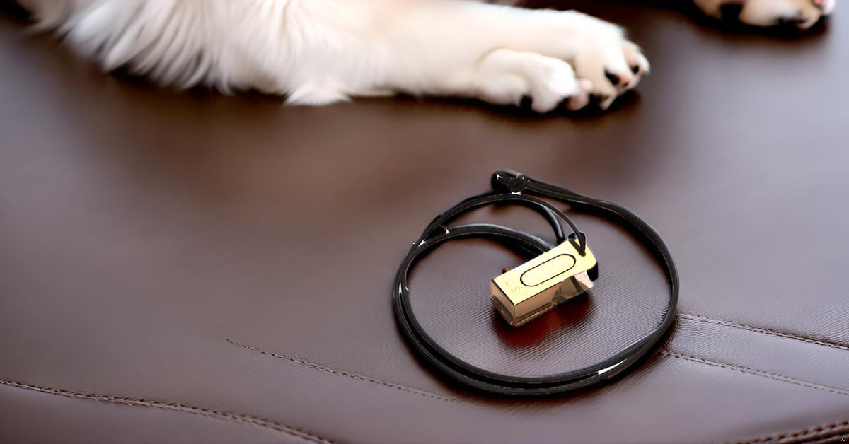 Brass and Steel Pet Training Clicker Puppy Dog Training Cricket Clicker U.S. Engraved WII Military Gear Metal Clicker