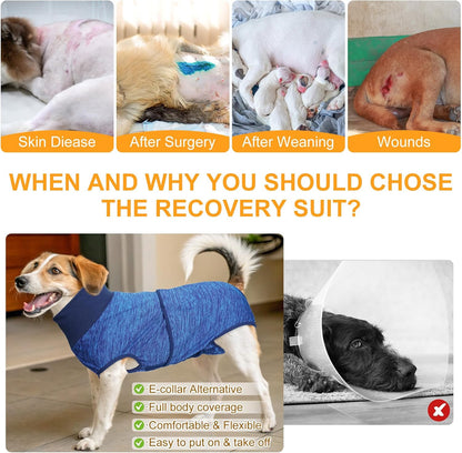 Dog Surgery Recovery Suit, Female Spay, Male Neuter, Anti Licking