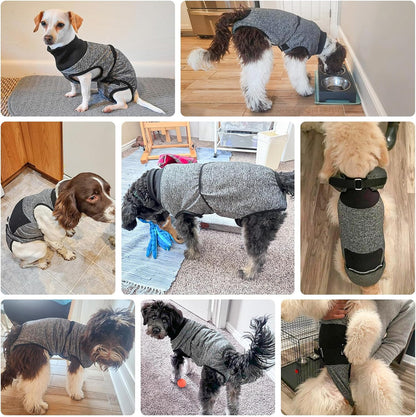 Dog Surgery Recovery Suit, Female Spay, Male Neuter, Anti Licking