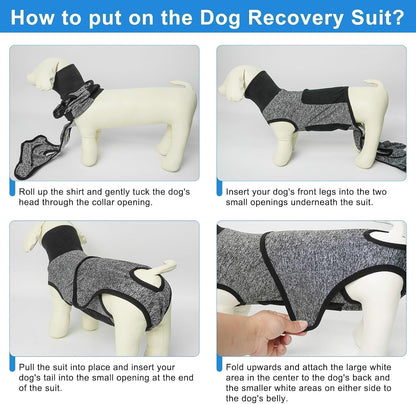 Dog Surgery Recovery Suit, Female Spay, Male Neuter, Anti Licking