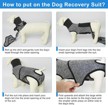 Dog Surgery Recovery Suit, Female Spay, Male Neuter, Anti Licking