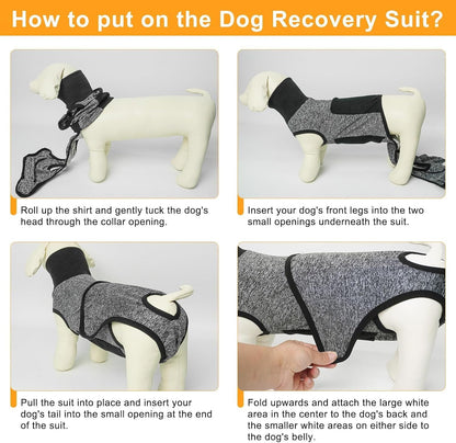 Dog Surgery Recovery Suit, Female Spay, Male Neuter, Anti Licking