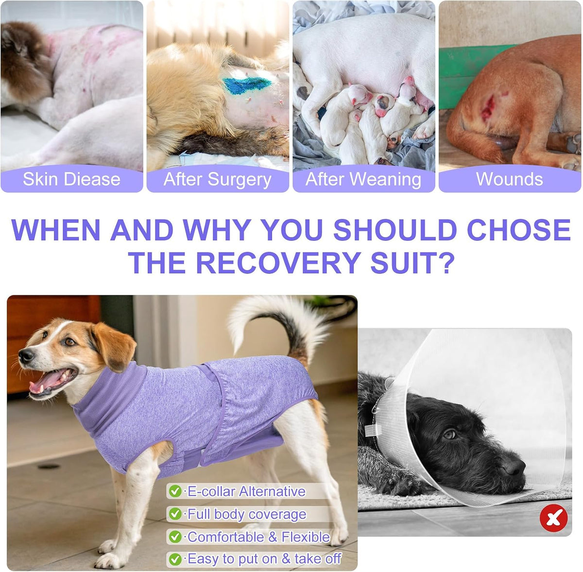 Dog Surgery Recovery Suit, Female Spay, Male Neuter, Anti Licking