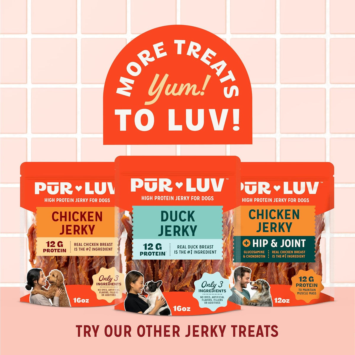 Chicken Jerky Dog Treats, Made with 100% Real Chicken Breast, 16 Ounces, Healthy, Easily Digestible, Long-Lasting, High Protein, Satisfies Dog's Urge to Chew