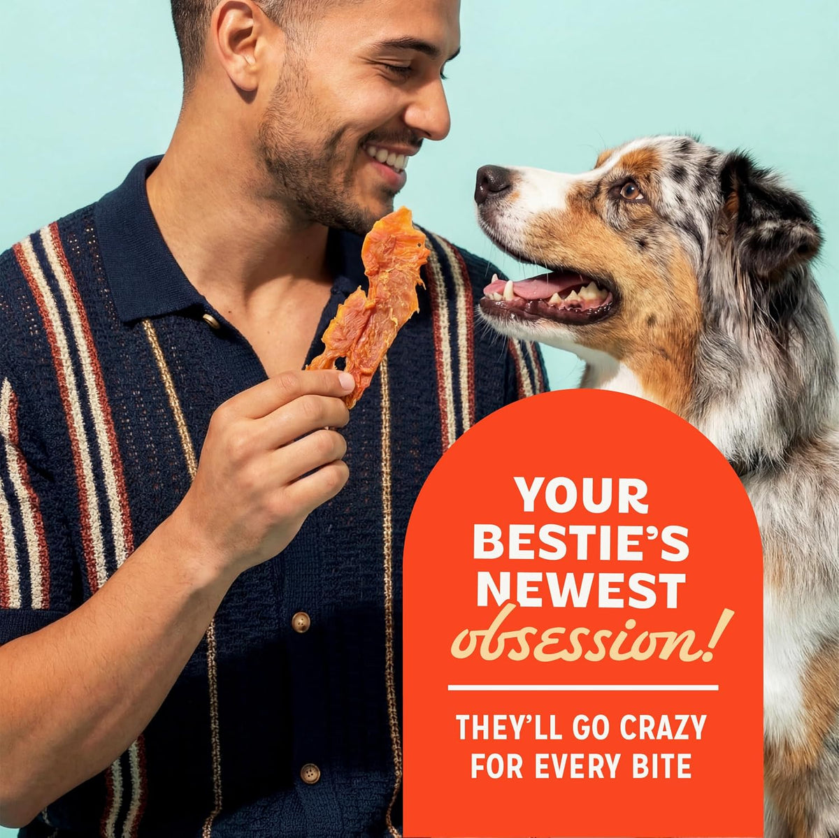 Chicken Jerky Dog Treats, Made with 100% Real Chicken Breast, 16 Ounces, Healthy, Easily Digestible, Long-Lasting, High Protein, Satisfies Dog's Urge to Chew