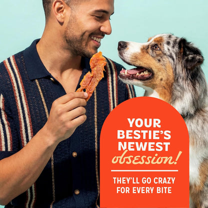 Chicken Jerky Dog Treats, Made with 100% Real Chicken Breast, 16 Ounces, Healthy, Easily Digestible, Long-Lasting, High Protein, Satisfies Dog's Urge to Chew