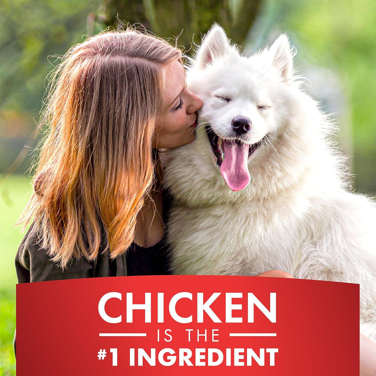 Chicken Jerky Dog Treats, Made with 100% Real Chicken Breast, 16 Ounces, Healthy, Easily Digestible, Long-Lasting, High Protein, Satisfies Dog's Urge to Chew