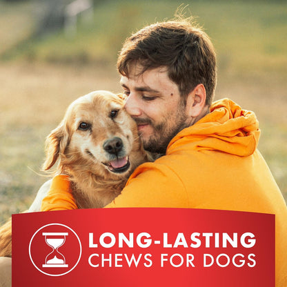 Chicken Jerky Dog Treats, Made with 100% Real Chicken Breast, 16 Ounces, Healthy, Easily Digestible, Long-Lasting, High Protein, Satisfies Dog's Urge to Chew