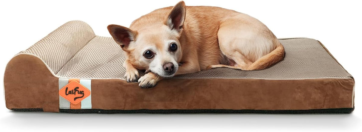 Orthopedic Dog Bed, Slate Grey 50''x36''x10'', Memory Foam