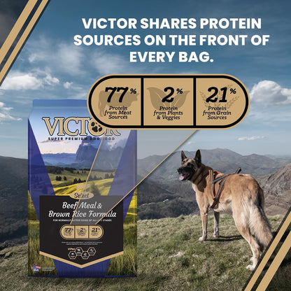 Select Gluten-Free Beef Meal & Brown Rice Dry Dog Food, 5 lb