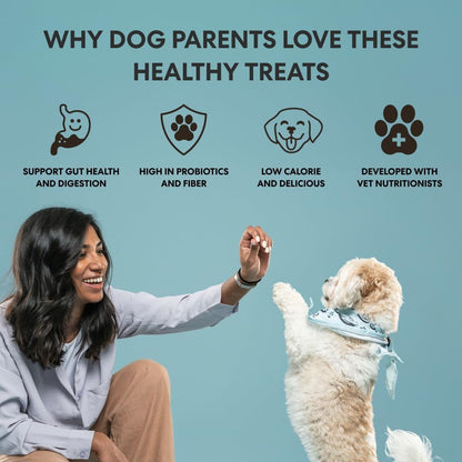Limited Ingredient Beef Air Dried Dog Treats, 5 Oz
