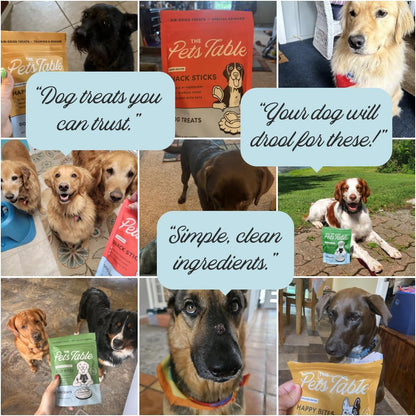 Limited Ingredient Beef Air Dried Dog Treats, 5 Oz
