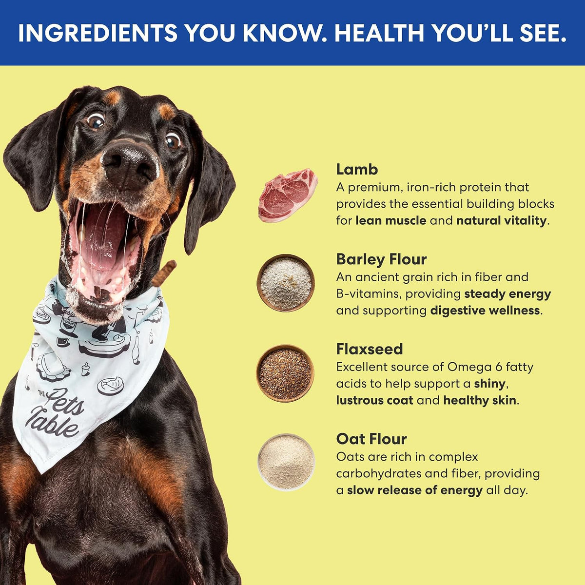 Limited Ingredient Beef Air Dried Dog Treats, 5 Oz