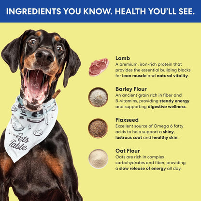 Limited Ingredient Beef Air Dried Dog Treats, 5 Oz