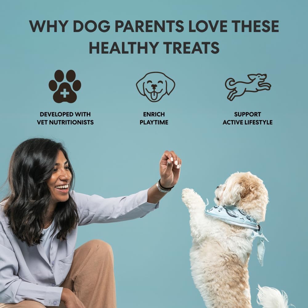 Limited Ingredient Beef Air Dried Dog Treats, 5 Oz