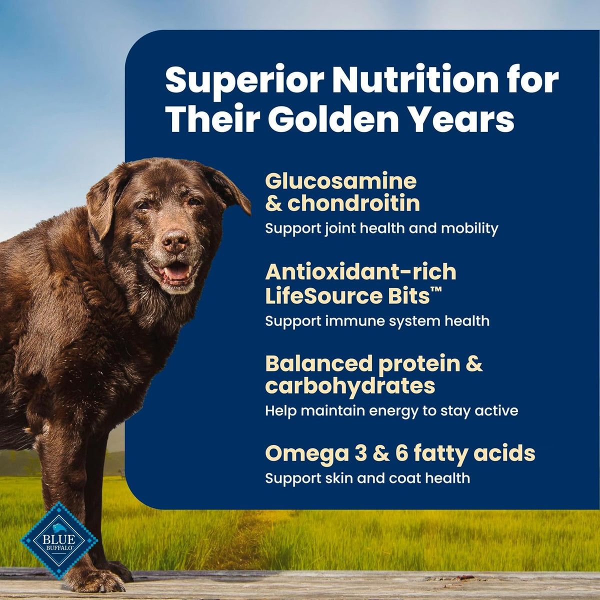 Blue Buffalo Life Protection Formula Beef Senior 7+ Dry Dog Food, 5 lb